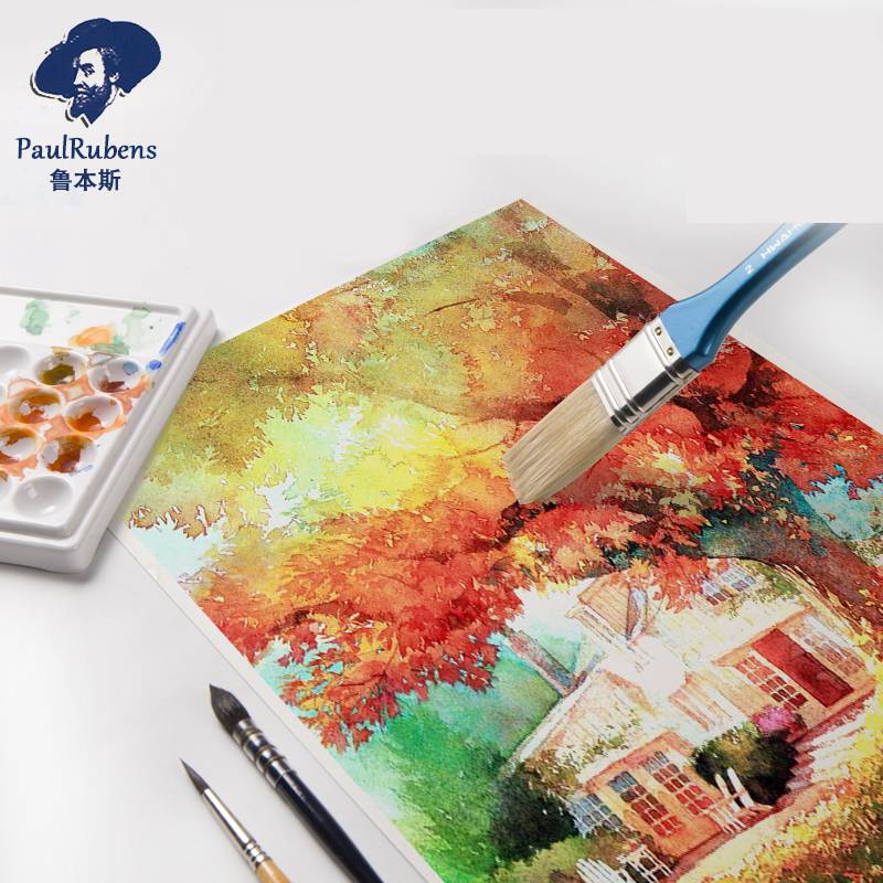 Paul Rubens 전문 수채화 용지 50% 면 30 - Ink Blotter Paper 리뷰 및 가격