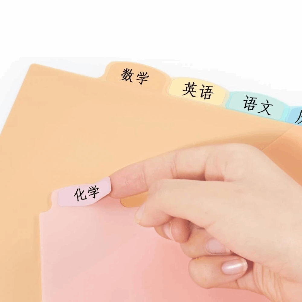 8개입 A4 파스텔 바인더 디바이더 8탭 디바이더 3링 - Tab Divider A4 리뷰 및 가격